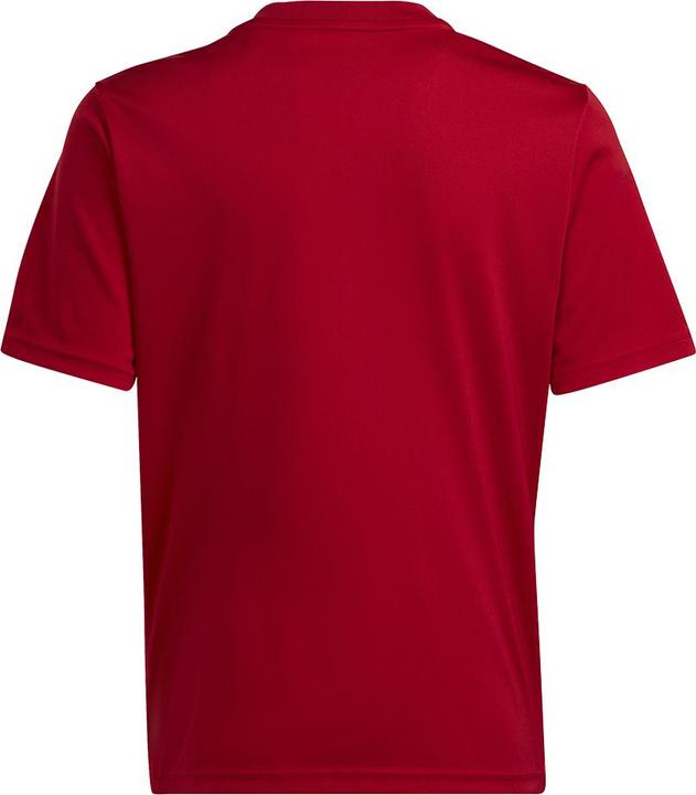 Produktbild adidas Team Icon 23 Trikot (128)