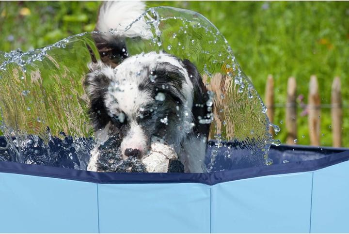 Actual product image Champ Large dog pool (Dog pool)