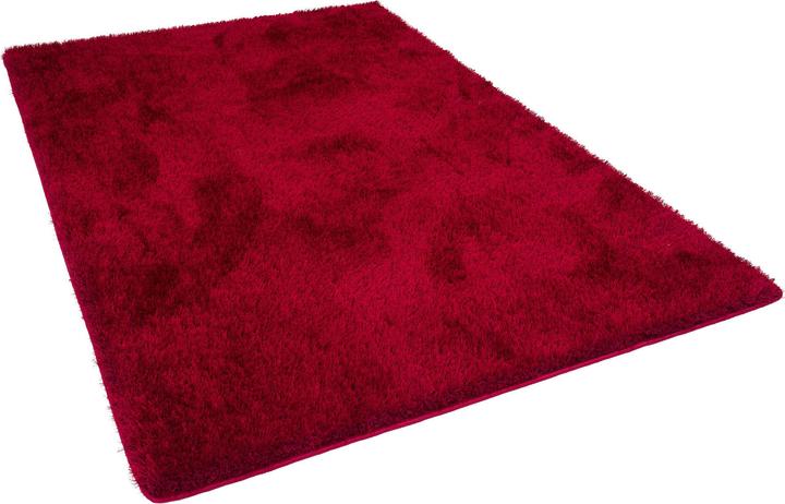 Immagine prodotto Snapstyle Tappeto Shaggy a pelo alto Mix di sensazioni di lusso (80 x 160 cm)