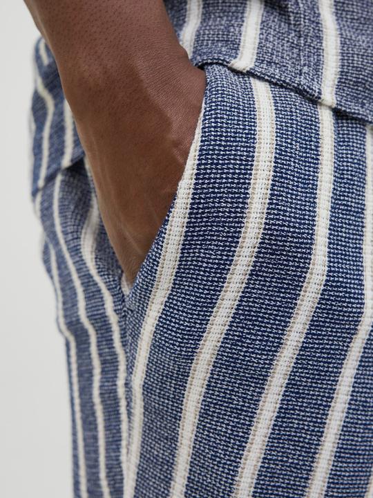 Produktbild Jack & Jones Jpstjaiden Coba Stripe Jog Short Sn Pls (44)