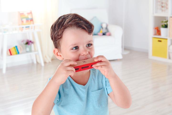 Actual product image Hape Blues harmonica (German, French, Italian, English)
