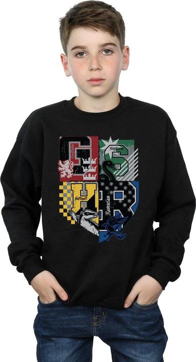Actual product image Sweatshirt boys (116)