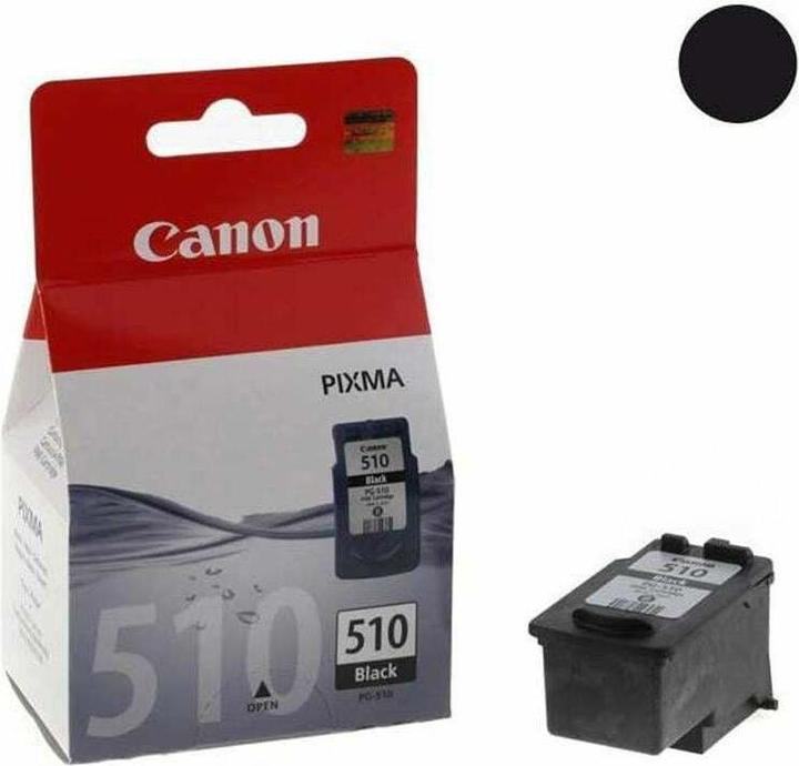 Actual product image Canon Pg-510 (FC)