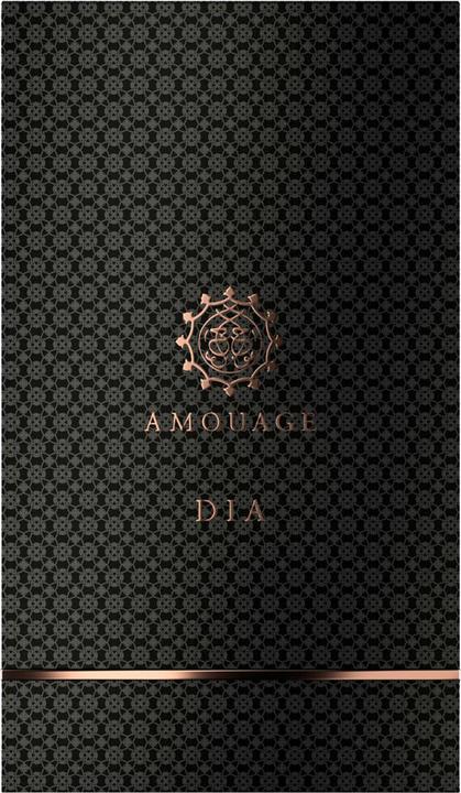 Immagine prodotto Amouage Boundless (Eau de parfum, 100 ml)