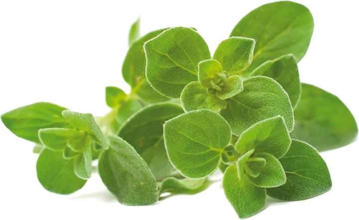 Immagine prodotto Click and Grow Origano (Semi di erbe)