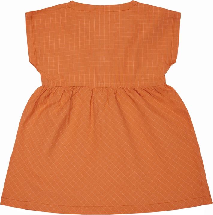 Actual product image loud + proud Fine check dress (86)