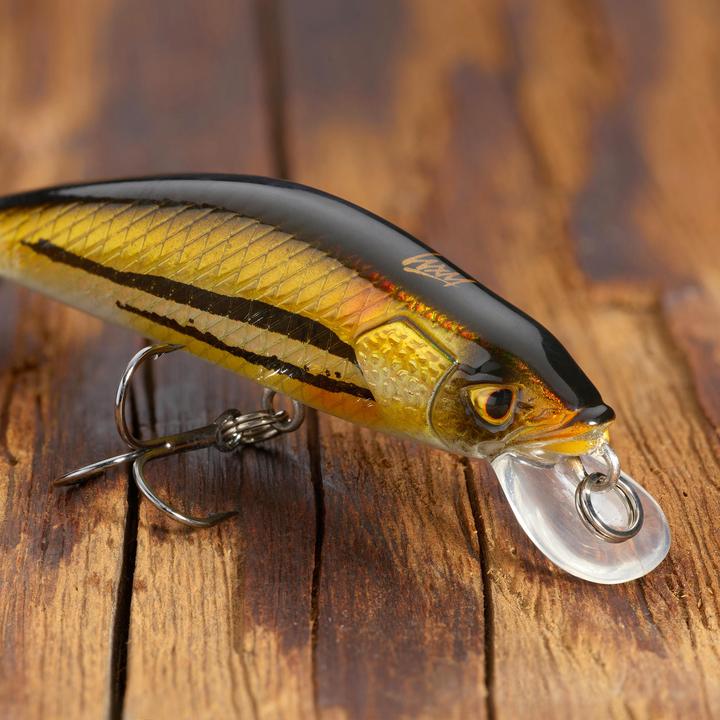 Image du produit Caperlan Jerkbait Minnow (5 cm)