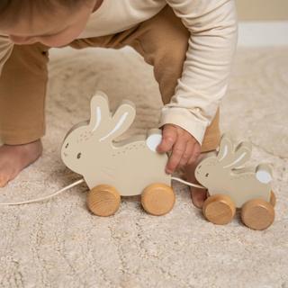 Immagine prodotto Little Dutch Coniglio da tirare - Coniglietto FSC