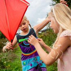Actual product image Kikkerland Huckleberry Kite