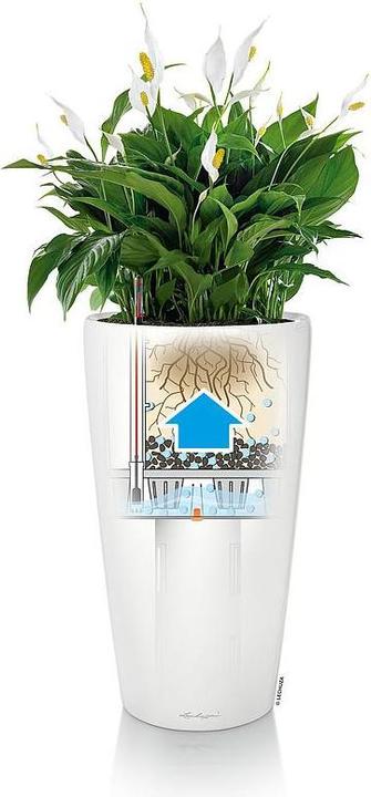 Produktbild Lechuza Rondo (40 cm)