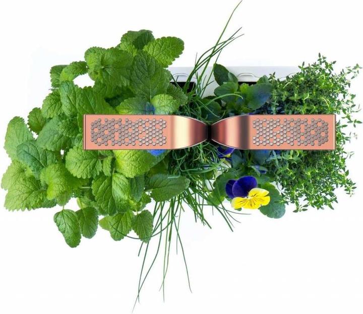Actual product image Véritable Smart (18.50 cm)