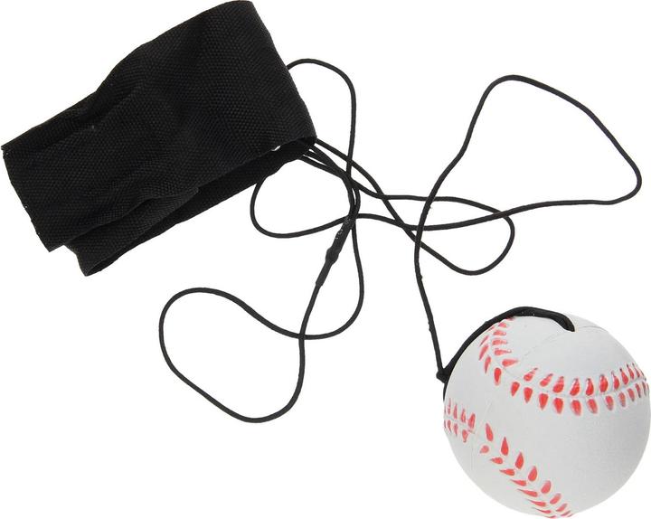 Image du produit Roost Bungee Ball Sport