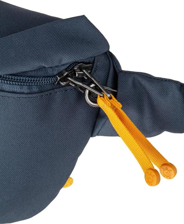 Actual product image Pacsafe Go Gürteltasche RFID Schutz 27 cm