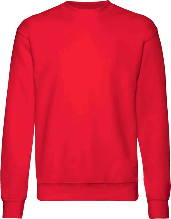 Image du produit Fruit of the Loom Pulls Premium 7030 (2 pièces) (98)