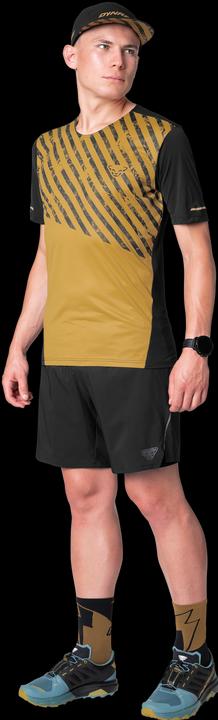 Immagine prodotto Dynafit ALPINE PRO 2/1 SHORTS, Herren (XL)