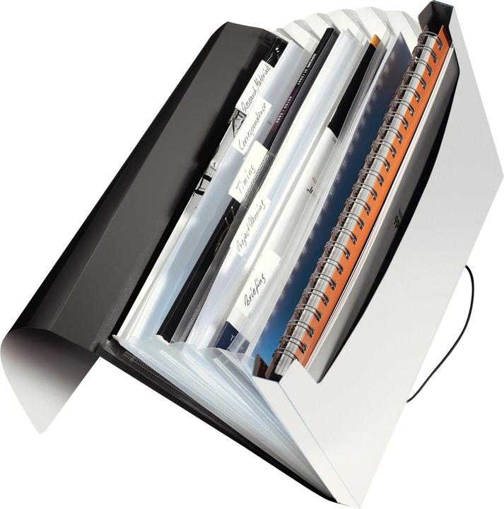 Actual product image Leitz Solid project folder (A4, 1 x)
