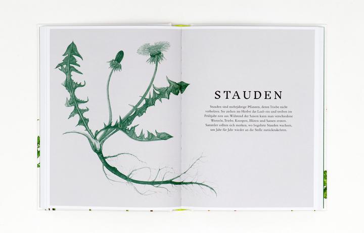 Produktbild Essbare Wildpflanzen (Deutsch, Liz Knight, Wiebke Krabbe, Rachel Pedder-Smith, 2021)