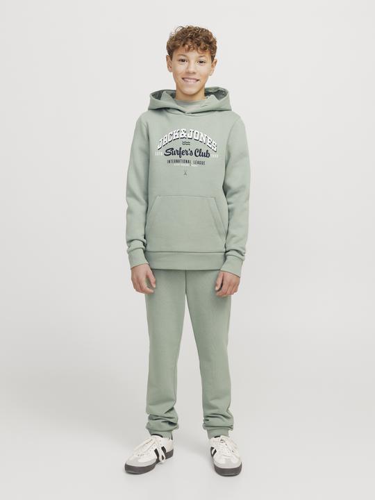 Produktbild Jack & Jones JJELOGO SWEAT HOOD 2 COL 24/25 NOOS JNR (152)