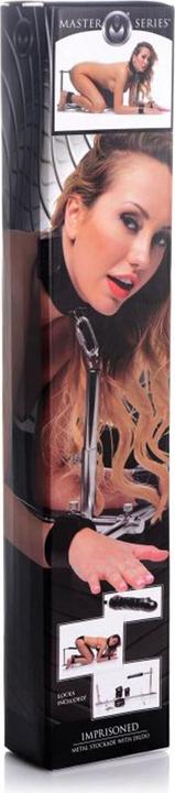 Actual product image Master Series Floor pillory