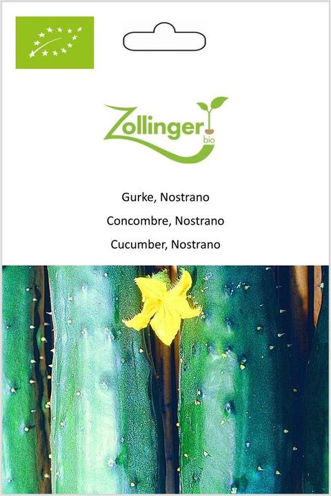 Produktbild Zollinger Bio Gurke, Nostrano (Gemüsesamen)