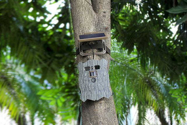 Image du produit Stealth Gear Owl Solar 4K Wifi Wildcamera