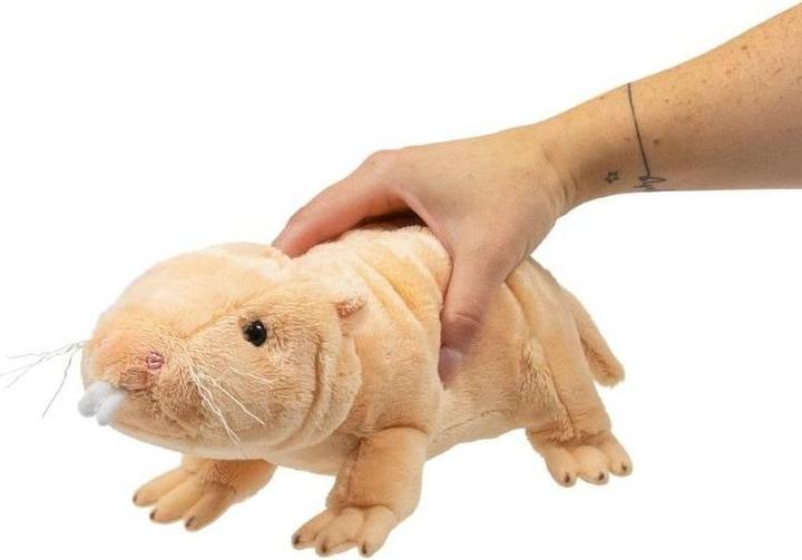 Actual product image tectake Nacktmull (26 cm)