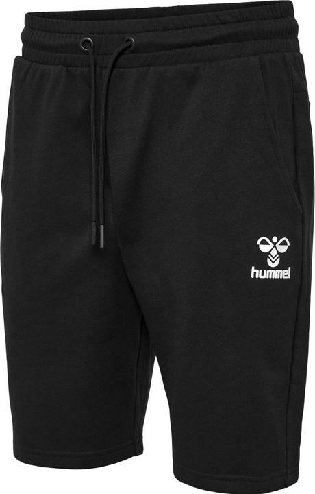 Image du produit hummel Hmlicons Shorts Reguliers (S)