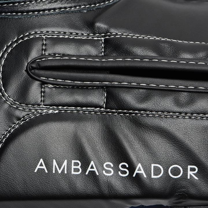 Actual product image Leone Boxhandschuhe Ambassador Blau GN207 (12 OZ)