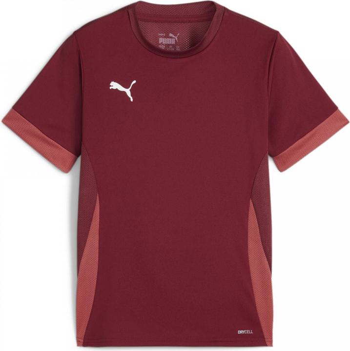 Actual product image Puma teamGOAL Matchday Jersey jr (164)