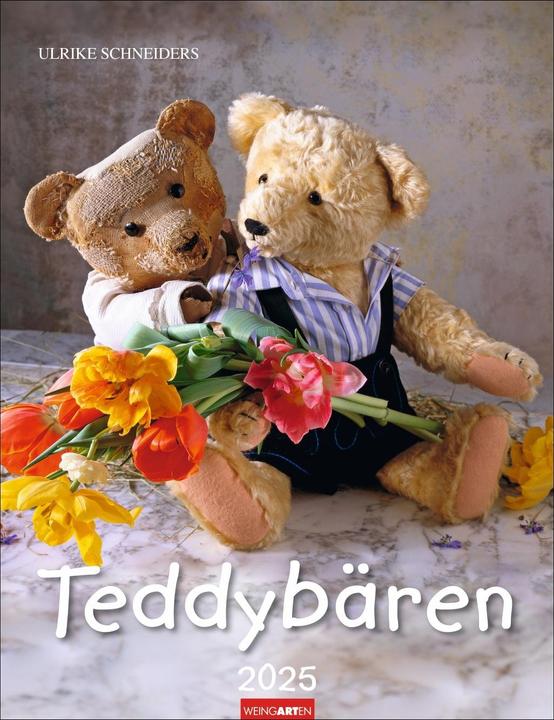 Produktbild Teddybären Kalender 2025 (30 x 39 cm, Deutsch)