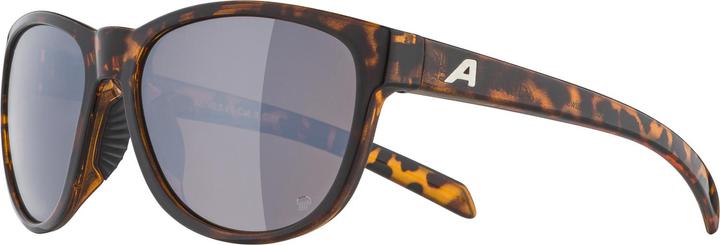Image du produit ALPINA SPORTS Nacan II P