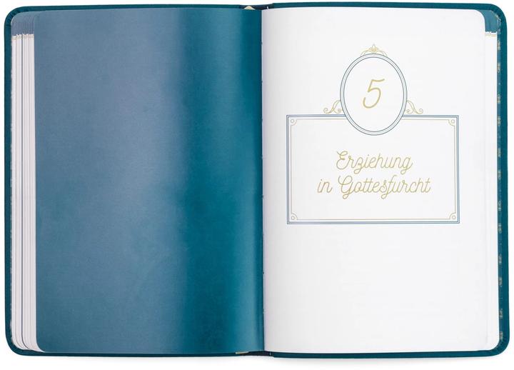 Actual product image Biblische Erziehung (German, David Martyn Lloyd-Jones, 2024)