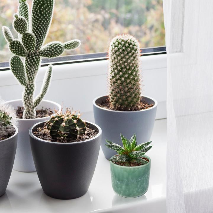Produktbild Casativo Blumenübertopf aus Porzellan, blau (9 cm)