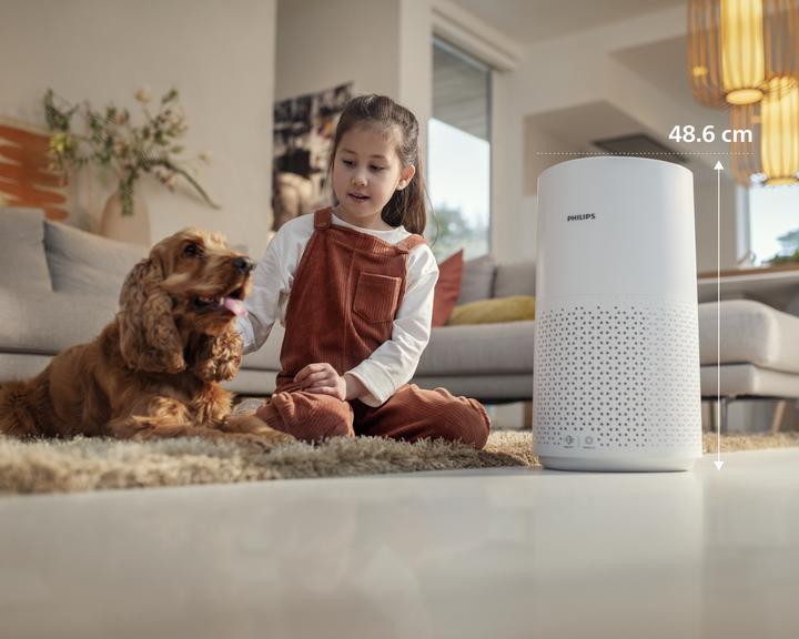 Actual product image Philips AC1711/10 (78 m²)