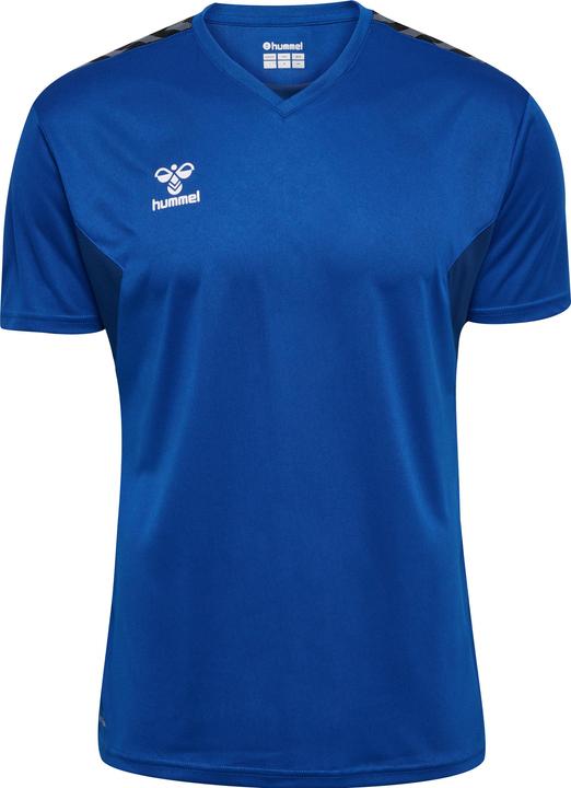 Image du produit hummel Hmlauthentic Pl Jersey S/S (XL)
