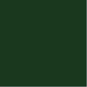 Immagine prodotto Hammerite Lacca metallica di protezione (750 ml, Verde scuro)