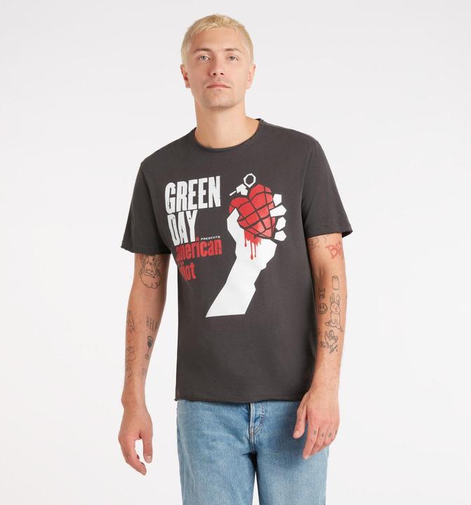 Actual product image Amplified Unisex Adult American Idiot Green Day T-Shirt (L)