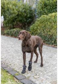 Image du produit Trixie Walker Active Bottes de protection longues, S, 2 pcs, noir (S, Chaussures pour chien)
