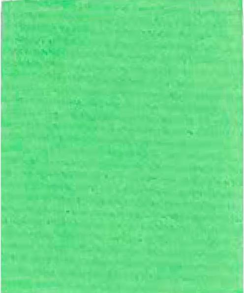 Vert printemps