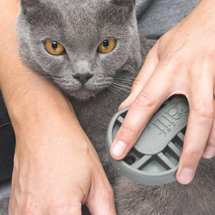 Immagine prodotto Catit Set di spazzole (Gatto)