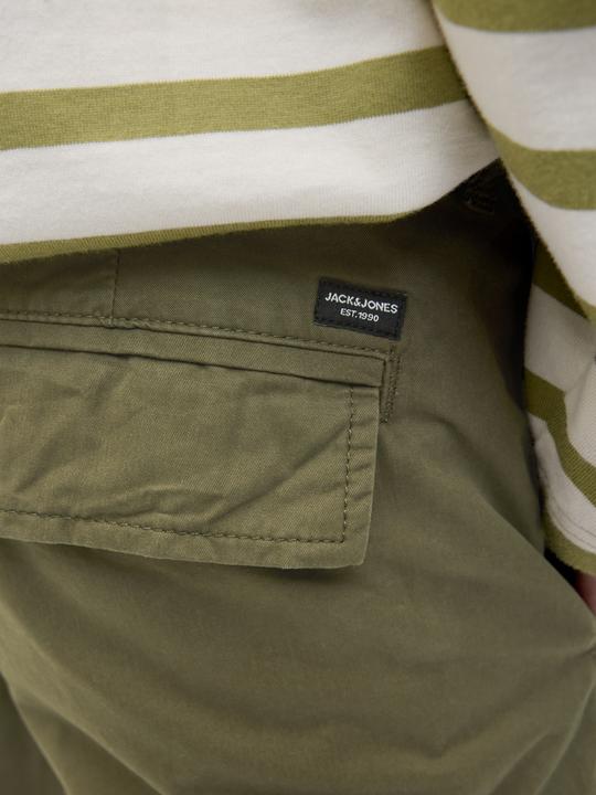 Actual product image Jack & Jones Regular fit cargo shorts Cargo shorts (XS)