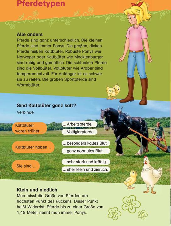Image du produit Bibi & Tina: Das grosse Pferde-Quizbuch mit Bibi und Tina (Allemand, Klett Lerntraining, 2021)