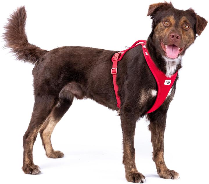 Produktbild Curli Belka Comfort Hundegeschirr All New Rot 4XL (4XL, Hund, Allgemein)