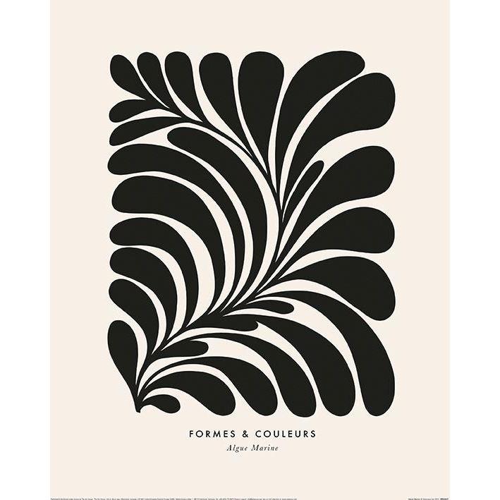 Produktbild Universal Textiles bedruckt Algue Marine (40 x 30 cm)