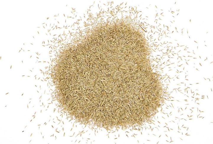 Actual product image Wolf-Garten Turbo Nachsaat LR (Lawn reseed)