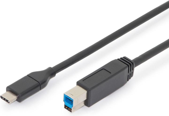 Image du produit Digitus USB C – USB B (1.80 m, USB 3.0)