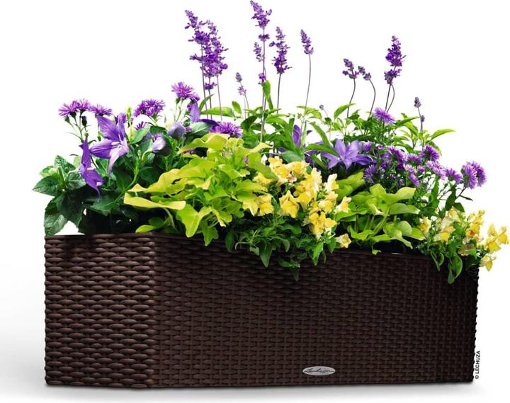 Image du produit Lechuza Balconera Cottage (19 cm)