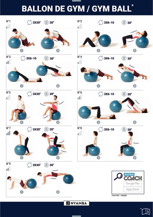 Actual product image Domyos Gym Ball (75 cm)