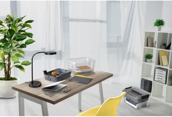 Image du produit Cep Boîte de rangement Combi-Box, PP, 18 l de capacité, avec couvercle, gris (18 l)