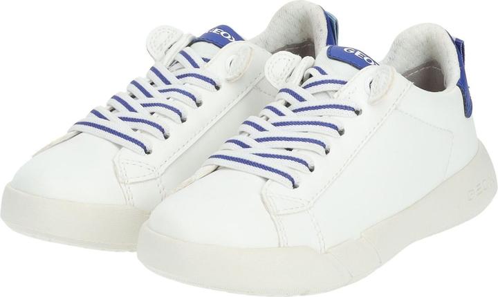 Actual product image Geox Sneaker (33)